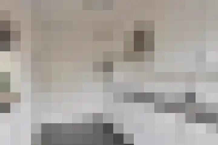 John Franklinstraat 18 Geldrop thumbnail 20
