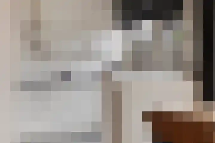 John Franklinstraat 18 Geldrop thumbnail 21