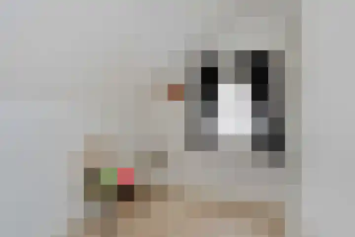 John Franklinstraat 18 Geldrop thumbnail 35