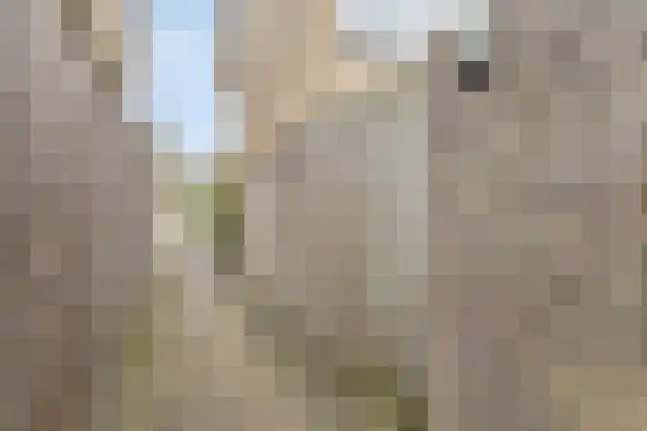 John Franklinstraat 18 Geldrop thumbnail 39
