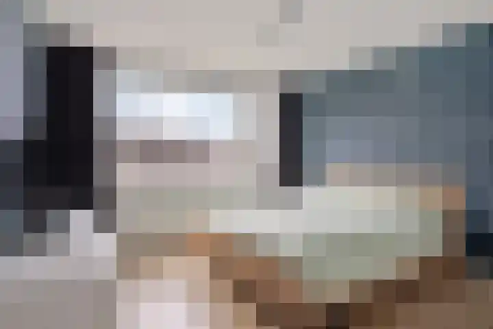 John Franklinstraat 18 Geldrop thumbnail 4