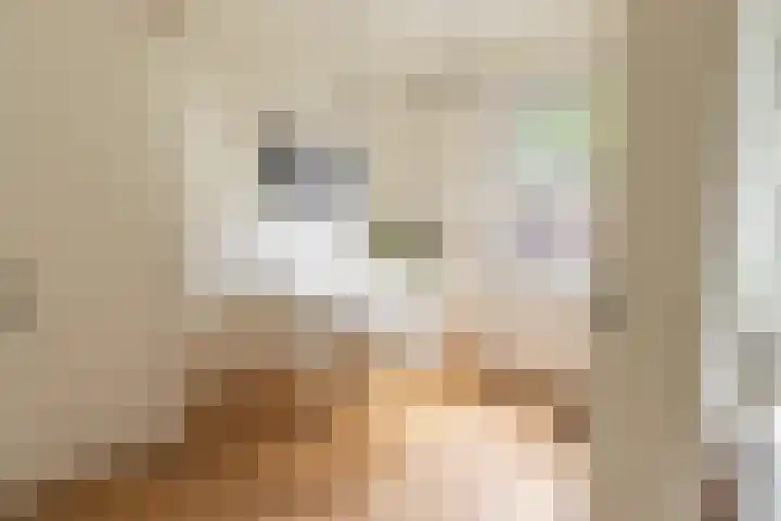 John Franklinstraat 27 1 Amsterdam thumbnail 5