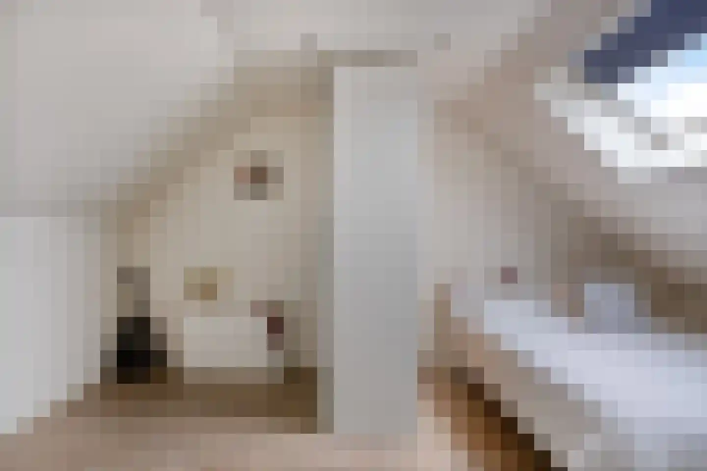 John Franklinstraat 32 Geldrop thumbnail 29