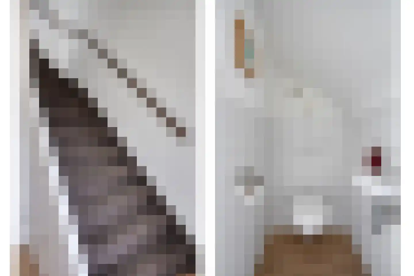 John Franklinstraat 32 Geldrop thumbnail 9