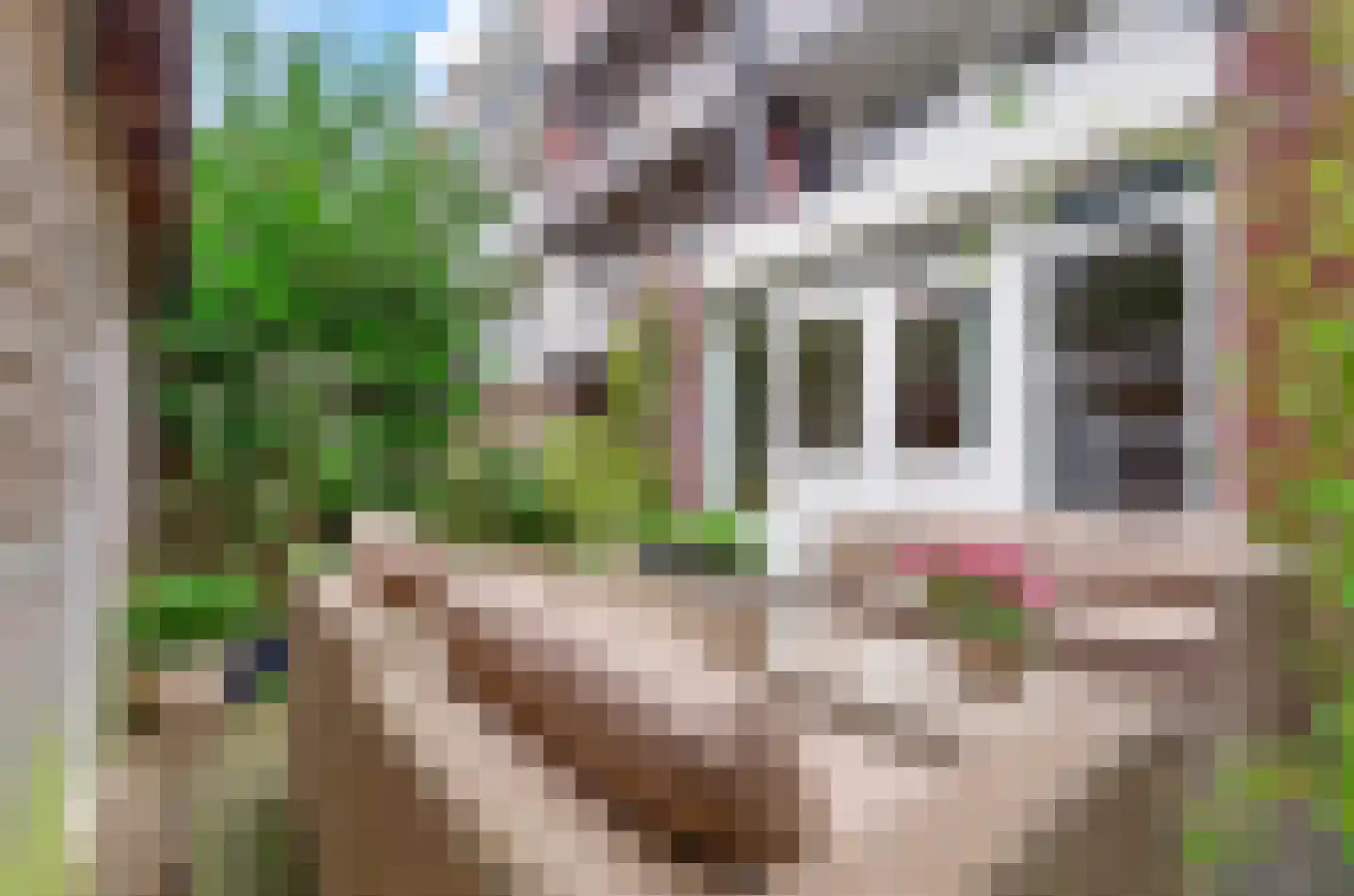 John Franklinstraat 41 H Amsterdam thumbnail 23