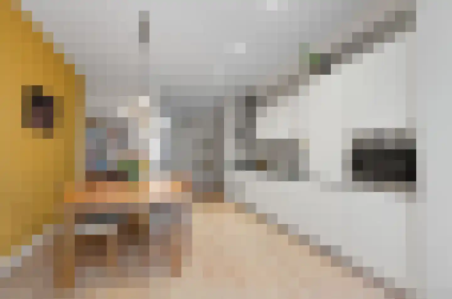 John Franklinstraat 41 H Amsterdam thumbnail 26