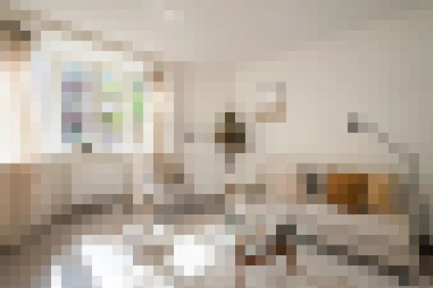 John Franklinstraat 64 1 Amsterdam thumbnail 5