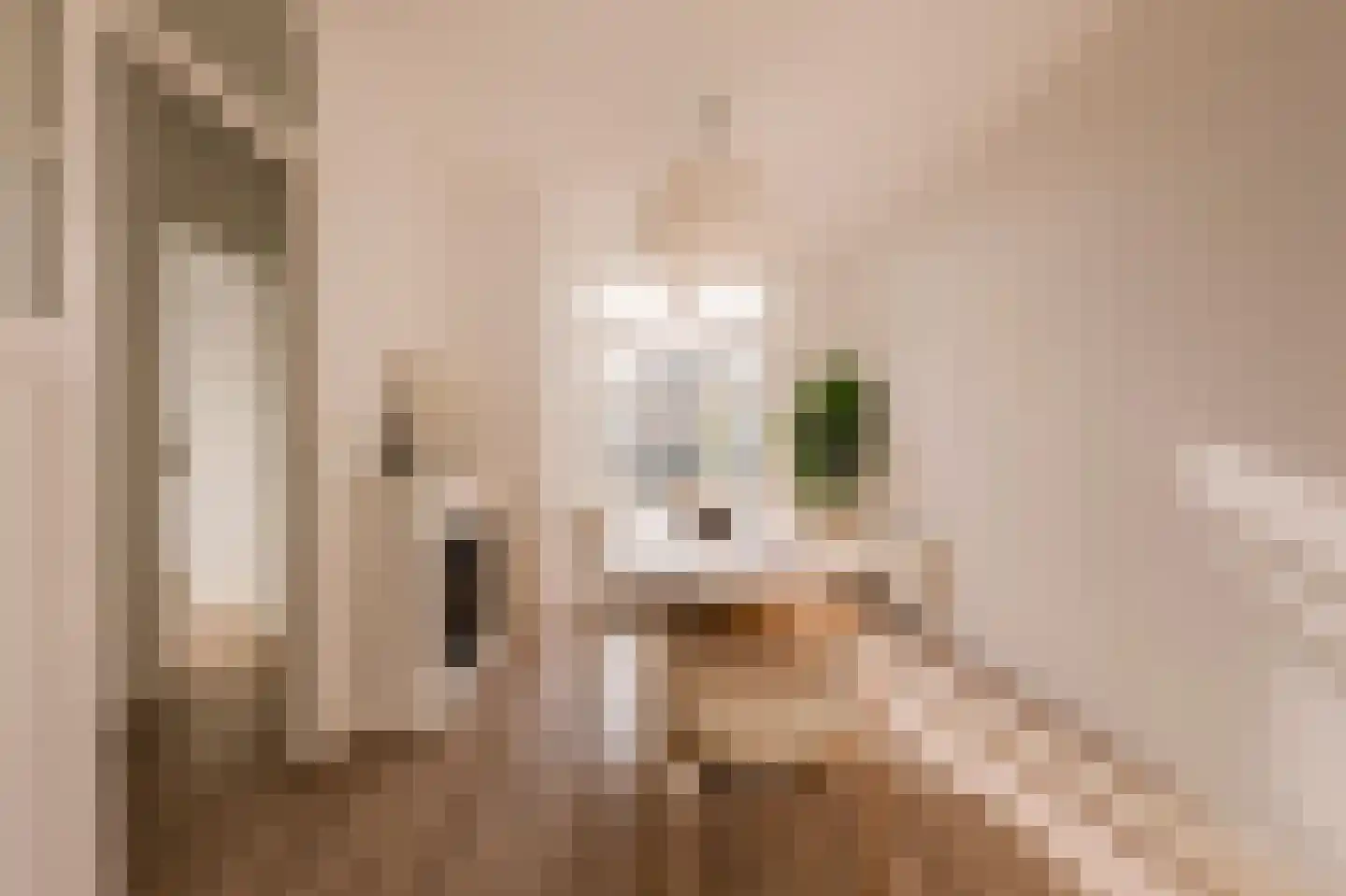 John Franklinstraat 67 3 Amsterdam thumbnail 10