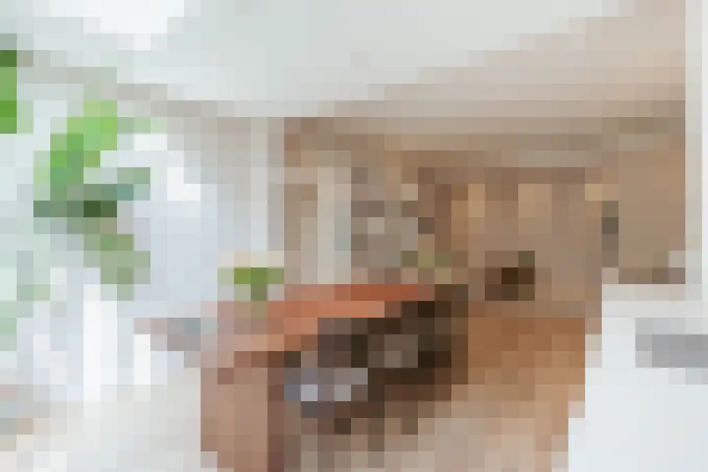 John Franklinstraat 67 H Amsterdam