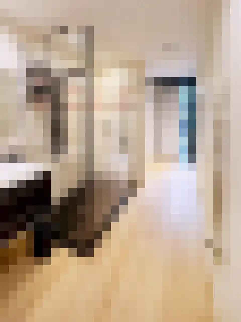 John Franklinstraat 83 H Amsterdam thumbnail 12