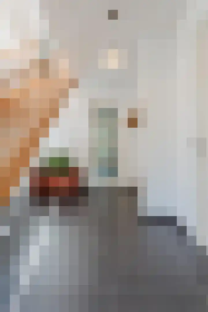 John Grosmanstraat 5 Arnhem thumbnail 33