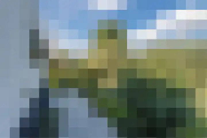 John Grosmanstraat 5 Arnhem thumbnail 59