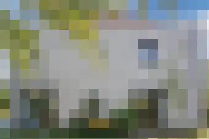 John Grosmanstraat 5 Arnhem thumbnail 64