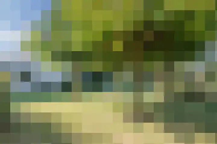 John Grosmanstraat 5 Arnhem thumbnail 66