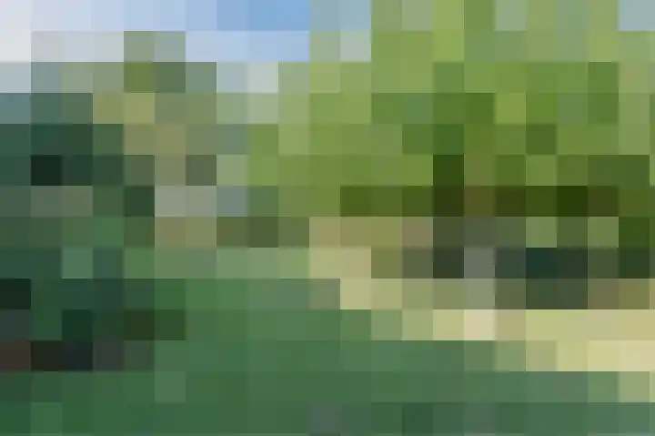 John Grosmanstraat 5 Arnhem thumbnail 67