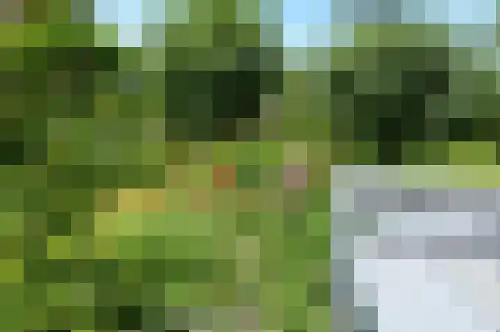 John Grosmanstraat 5 Arnhem thumbnail 78