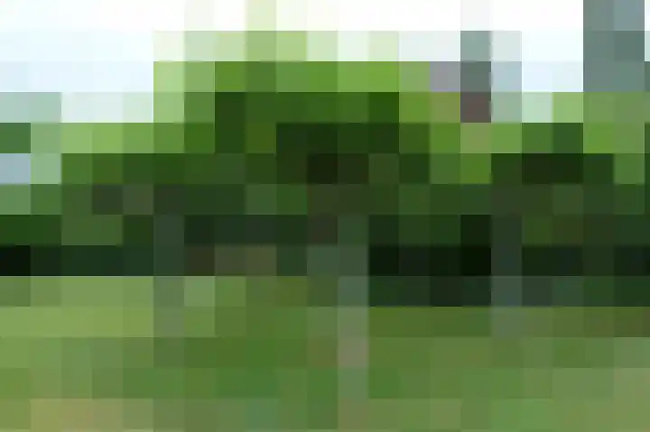 John Grosmanstraat 5 Arnhem thumbnail 81