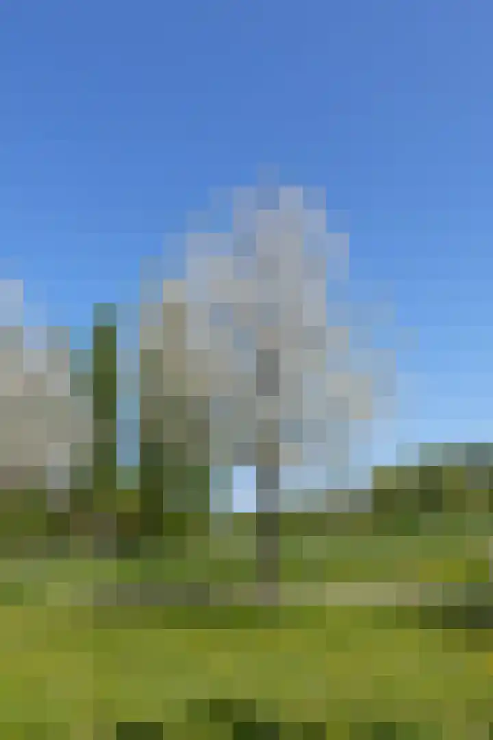 John Grosmanstraat 5 Arnhem thumbnail 86