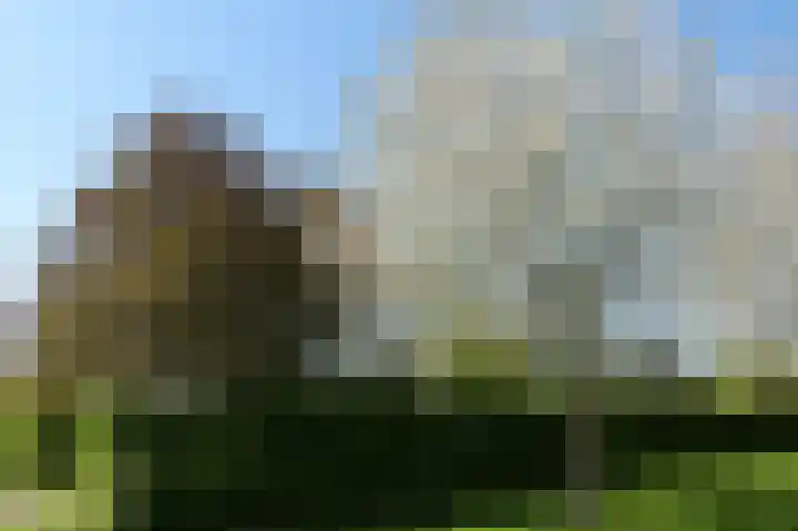 John Grosmanstraat 5 Arnhem thumbnail 88