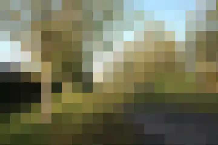 John Grosmanstraat 5 Arnhem thumbnail 89