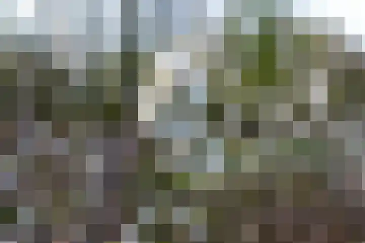 John Grosmanstraat 5 Arnhem thumbnail 91