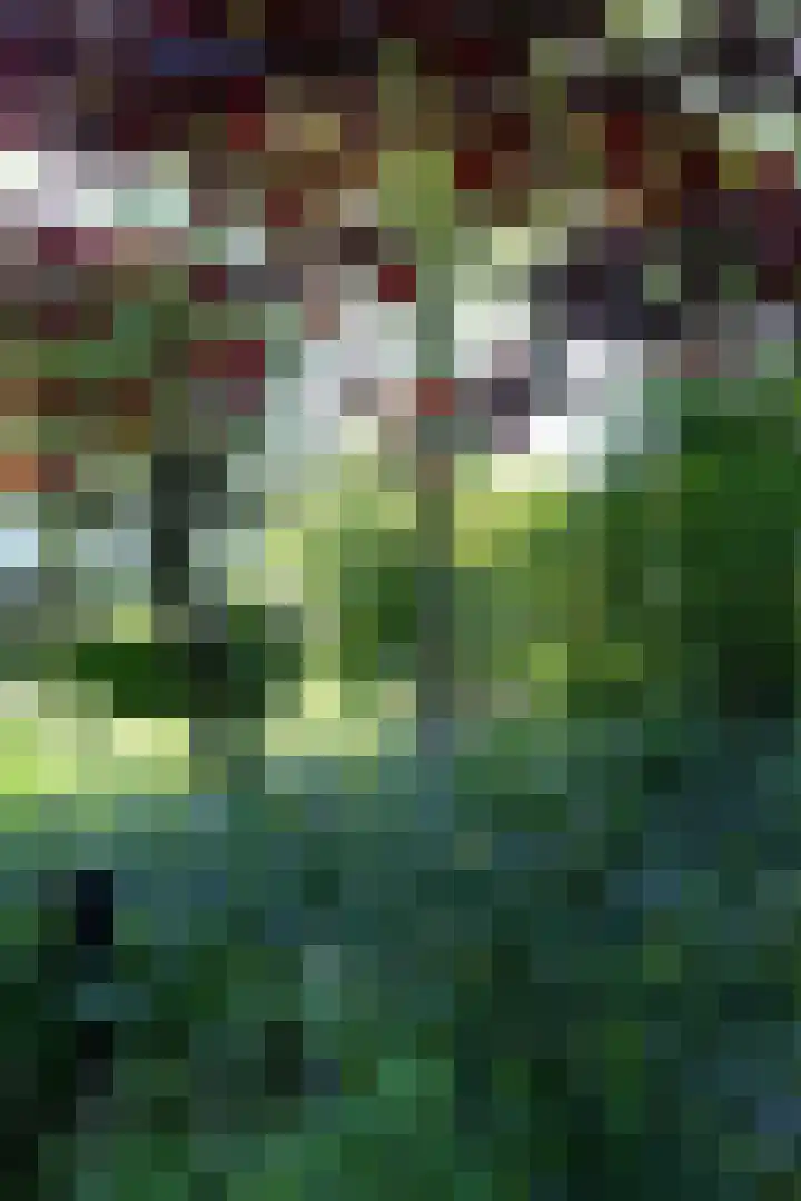 John Grosmanstraat 5 Arnhem thumbnail 97