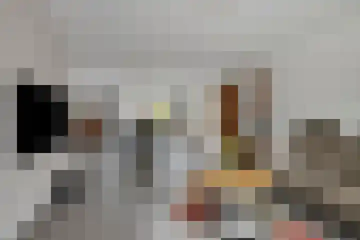 John Keatslaan 13 Eindhoven thumbnail 12
