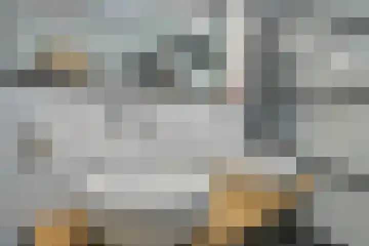 John Keatslaan 13 Eindhoven thumbnail 24
