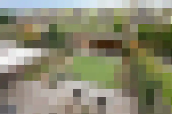 John Keatslaan 13 Eindhoven thumbnail 32