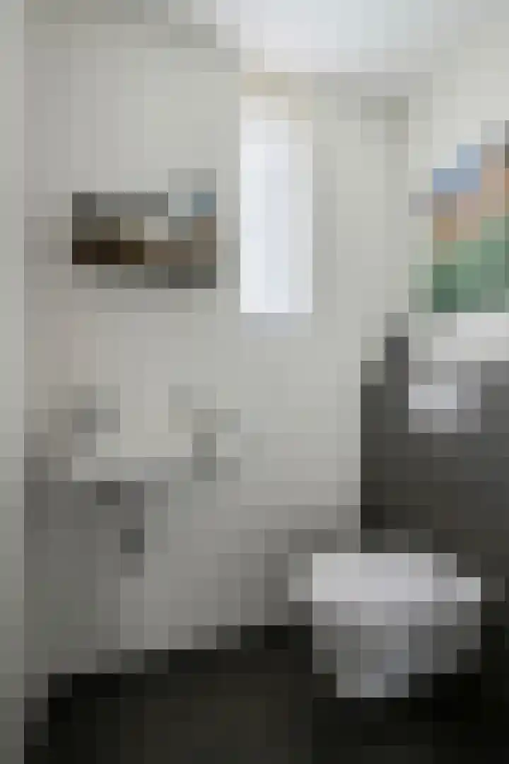 John Keatslaan 13 Eindhoven thumbnail 5