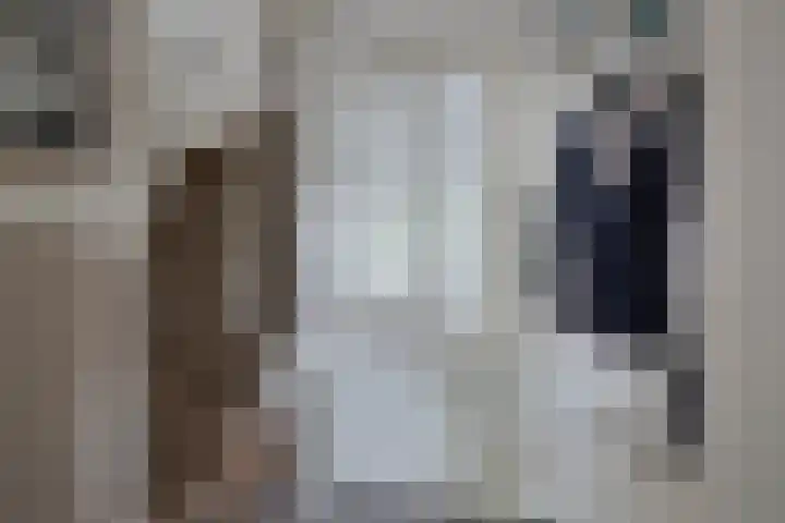 John Keatslaan 13 Eindhoven thumbnail 6