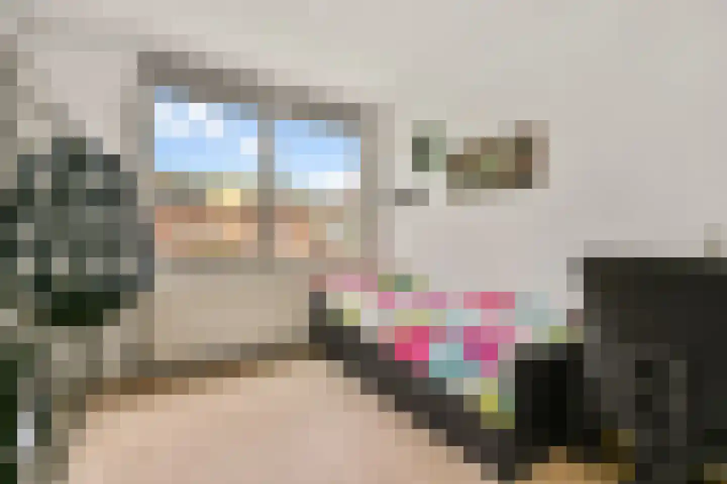 John Kellypad 10 Amsterdam thumbnail 17