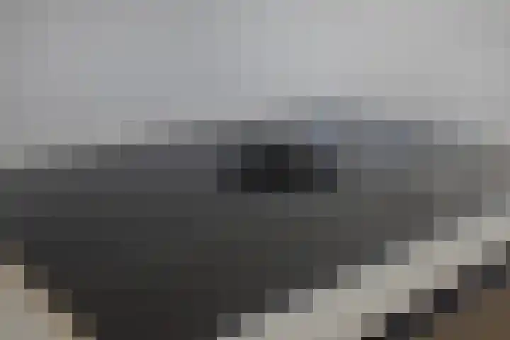 John Kraaijkampstraat 12 Berkel en Rodenrijs thumbnail 12