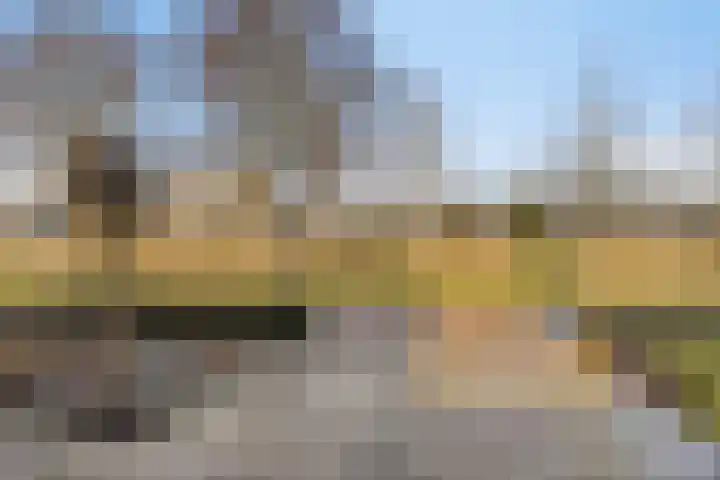 John Lennonlaan 46 Goes thumbnail 10