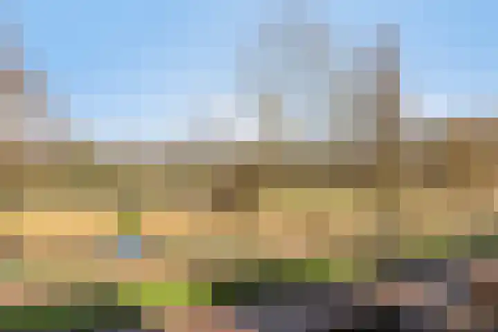 John Lennonlaan 46 Goes thumbnail 42