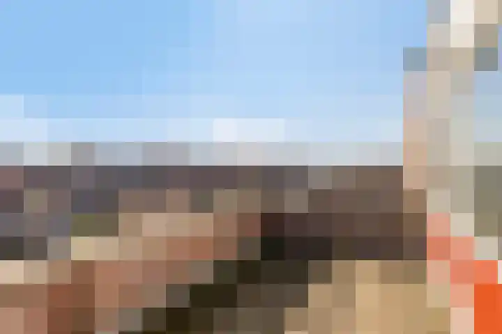 John Lennonlaan 46 Goes thumbnail 43