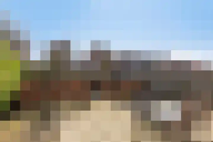John Lennonlaan 46 Goes thumbnail 46
