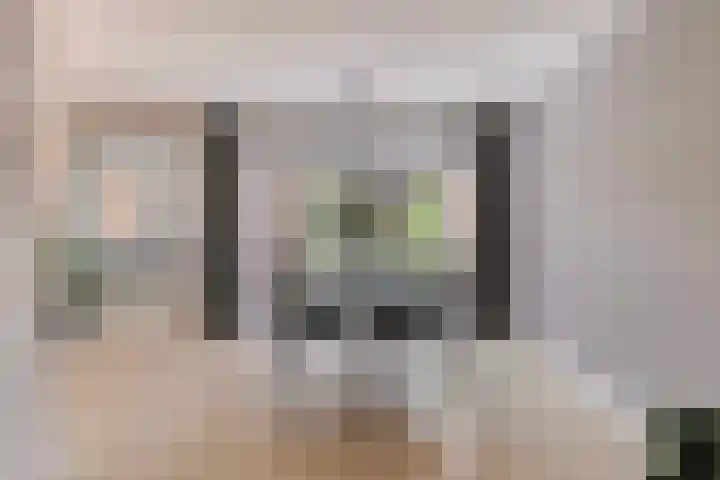 John Lennonlaan 48 Goes thumbnail 10