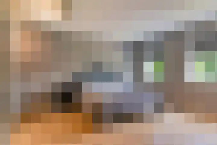 John Lennonlaan 48 Goes thumbnail 17