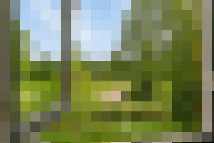 John Lennonlaan 48 Goes thumbnail 26