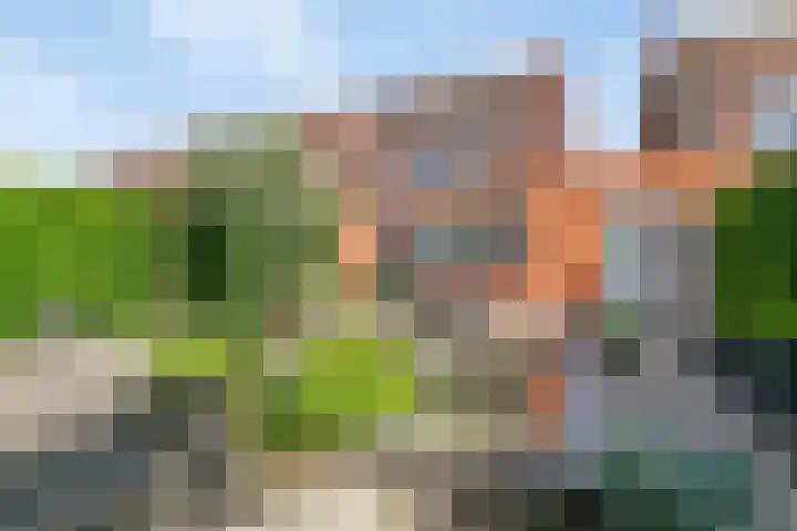 John Lennonlaan 48 Goes thumbnail 29