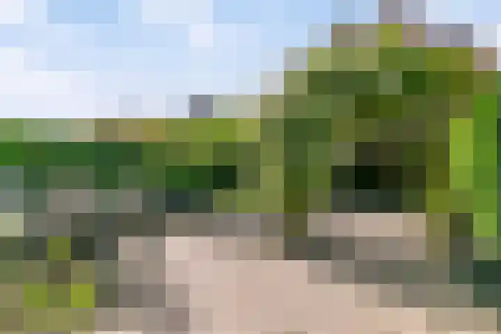 John Lennonlaan 48 Goes thumbnail 30