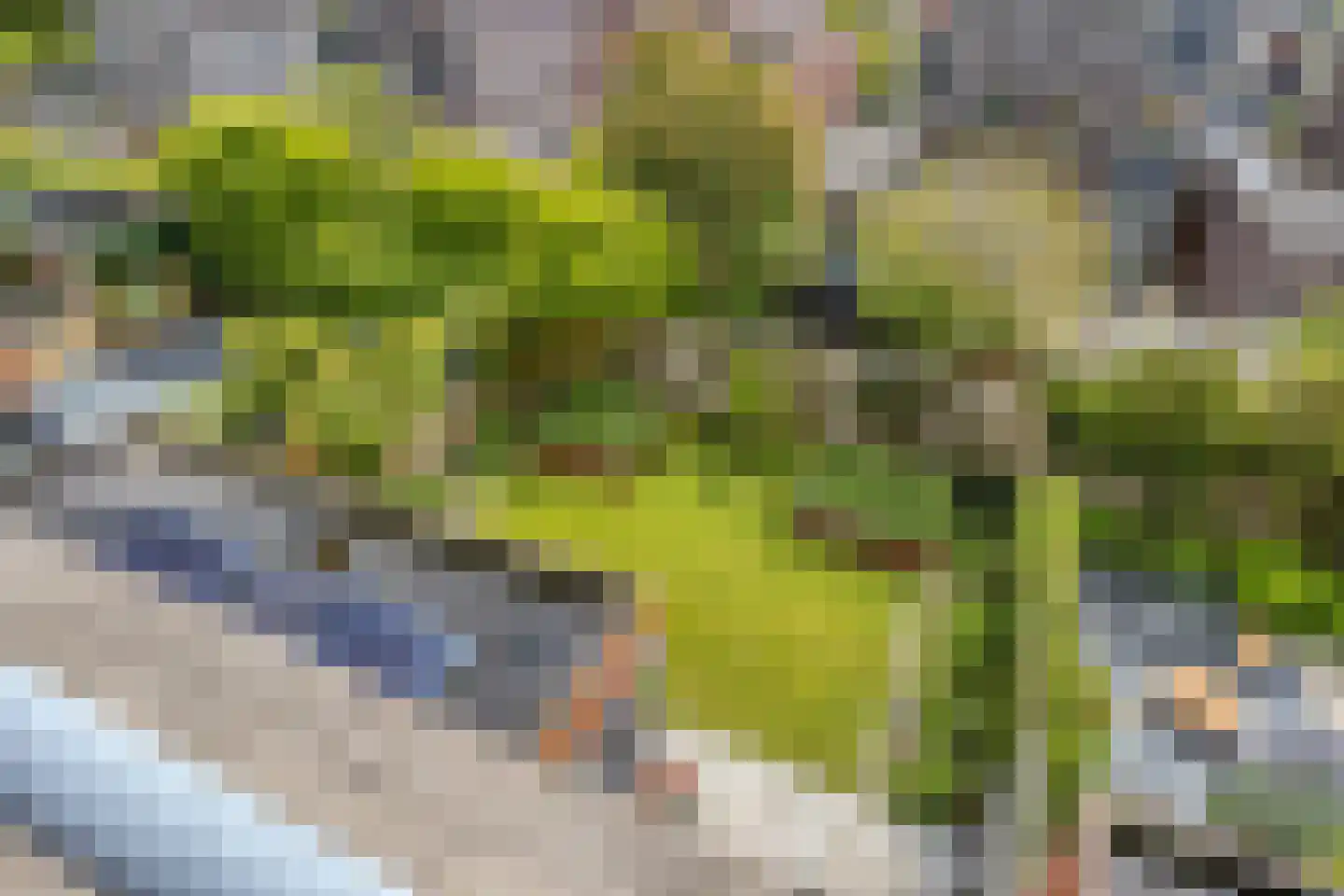 John Lennonlaan 66 Goes thumbnail 34