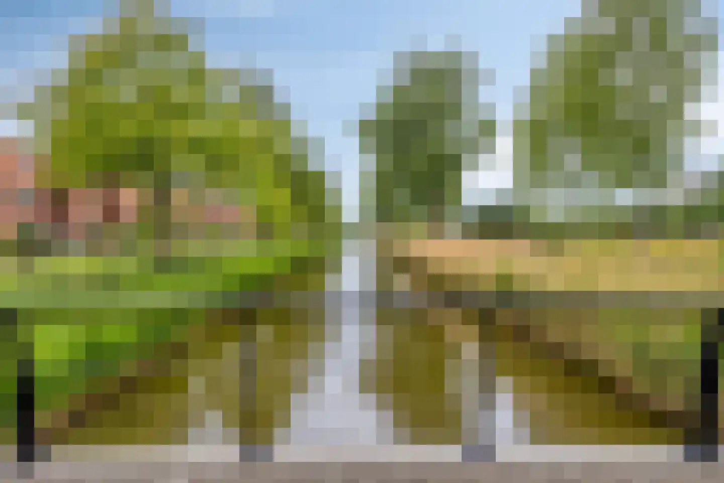 John Lennonlaan 66 Goes thumbnail 4