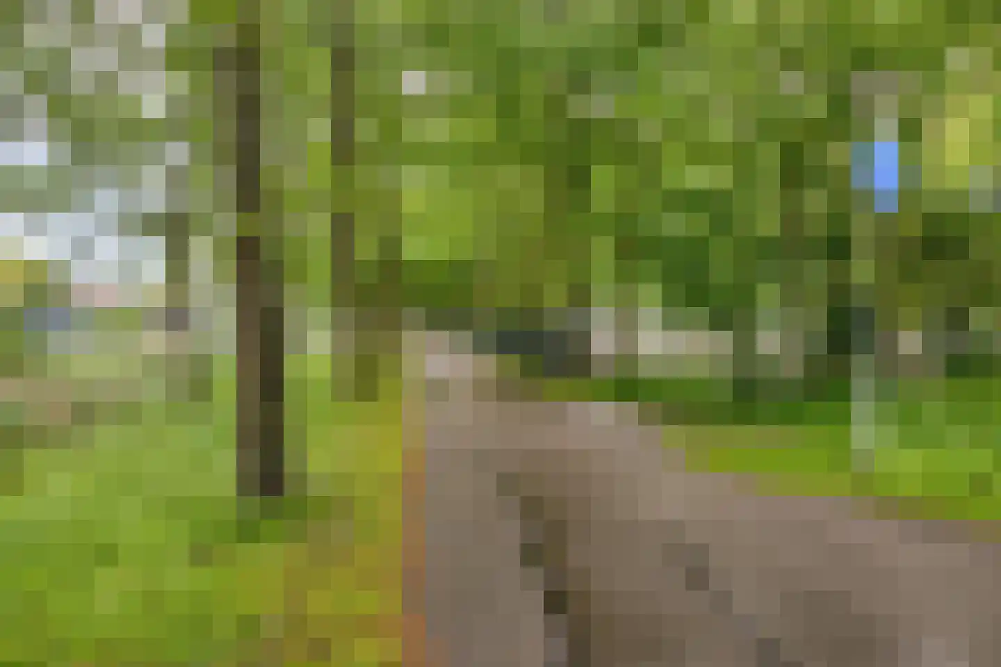 John Lennonlaan 66 Goes thumbnail 44