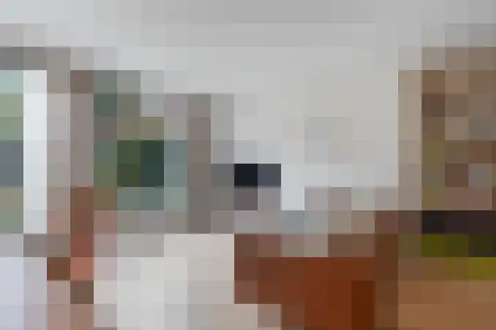 John Lennonstraat 20 Lent thumbnail 7