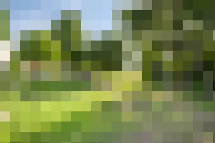 John Lennonstraat 39 Lent thumbnail 33