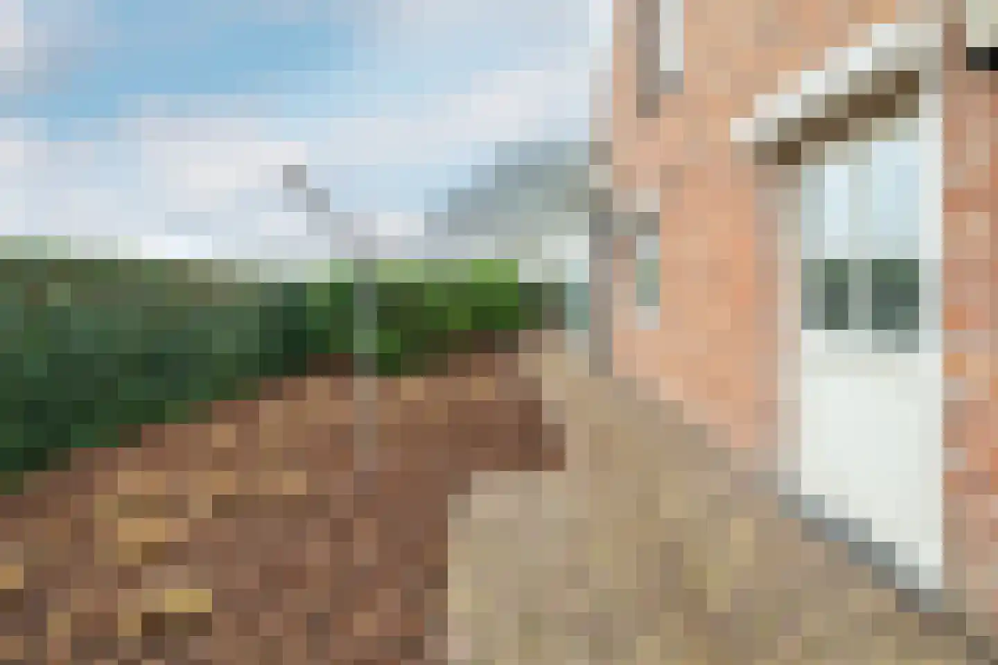 John Lijsenstraat 12 a Oude Meer thumbnail 38