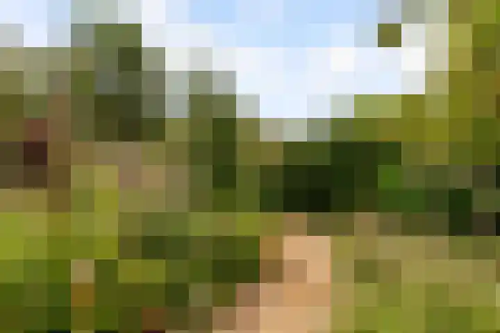 John Lockeweg 17 Almere thumbnail 33