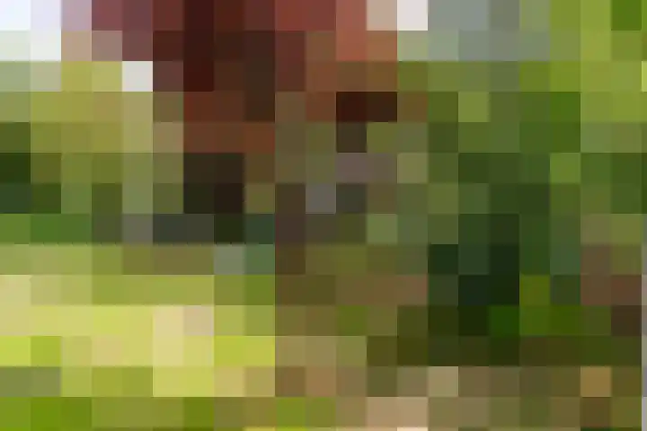 John Lockeweg 17 Almere thumbnail 34